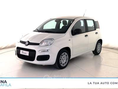 Fiat Panda  - pandina 1.0 firefly hybrid pop s&s 65cv Bianco usata Marcianise