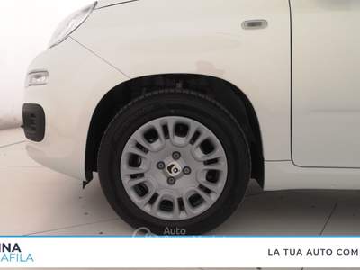 Fiat Panda  - pandina 1.0 firefly hybrid pop s&s 65cv Bianco usata Marcianise