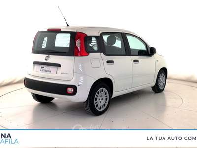 Fiat Panda  - pandina 1.0 firefly hybrid pop s&s 65cv Bianco usata Marcianise