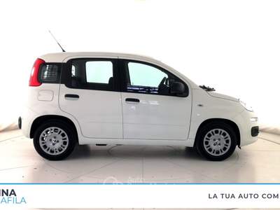 Fiat Panda  - pandina 1.0 firefly hybrid pop s&s 65cv Bianco usata Marcianise