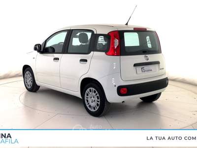 Fiat Panda  - pandina 1.0 firefly hybrid pop s&s 65cv Bianco usata Marcianise