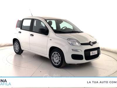Fiat Panda  - pandina 1.0 firefly hybrid pop s&s 65cv Bianco usata Marcianise