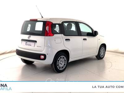 Fiat Panda  - pandina 1.0 firefly hybrid pop s&s 65cv Bianco usata Marcianise
