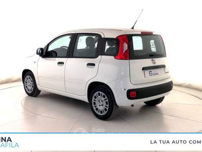Fiat Panda  - pandina 1.0 firefly hybrid pop s&s 65cv Bianco usata Marcianise