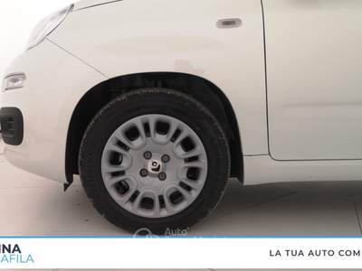 Fiat Panda  - pandina 1.0 firefly hybrid pop s&s 65cv Bianco usata Marcianise