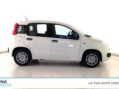 Fiat Panda  - pandina 1.0 firefly hybrid pop s&s 65cv Bianco usata Marcianise