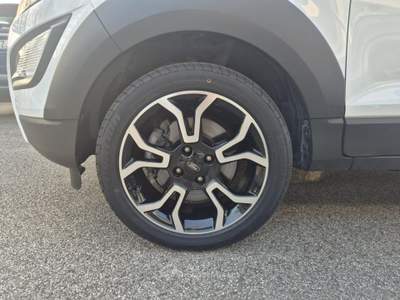 Ford EcoSport 1.0 ecoboost Active s&amp;s 125cv Bianco usata Martellago