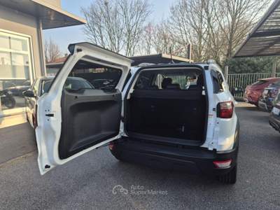 Ford EcoSport 1.0 ecoboost Active s&amp;s 125cv Bianco usata Martellago