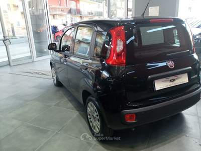 Fiat Panda FireFly S&S Hybrid Nero usata Isernia