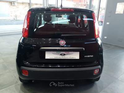 Fiat Panda FireFly S&S Hybrid Nero usata Isernia