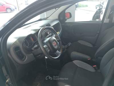 Fiat Panda FireFly S&S Hybrid Nero usata Isernia