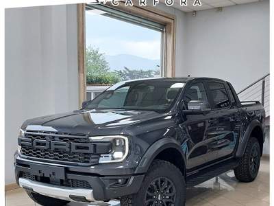 Ford Ranger Raptor 2.0 D 205 CV Prezzo + IVA Grigio usata San Felice a Cancello
