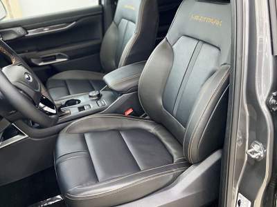 Ford Ranger Wildtrak 205 CV doppia cabina 5 posti escl. IVA Grigio usata San Felice a Cancello