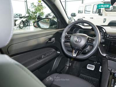 Alfa Romeo Junior 1.2 145 CV Hybrid eDCT6 Speciale Grigio usata Sona