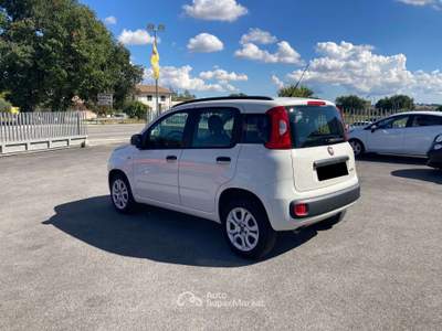 Fiat Panda 0.9 t.air natural power Easy 85cv Rosso usata Treia