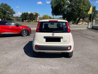 Fiat Panda 0.9 t.air natural power Easy 85cv Rosso usata Treia