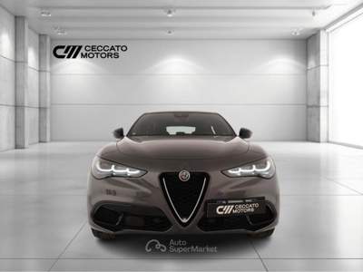 Alfa Romeo Stelvio 2.2 Turbo Ti Q4 Auto Grigio usata Padova