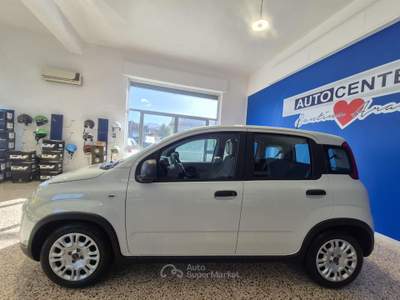 Fiat Panda 1.0 FireFly S&S Hybrid Bianco usata Brolo