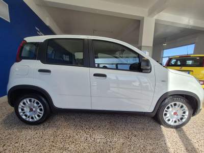 Fiat Panda 1.0 FireFly S&S Hybrid Bianco usata Brolo