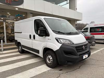 Fiat Ducato  Bianco usata Romano Canavese
