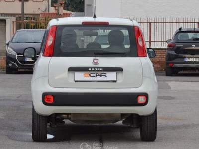Fiat Panda Turbo Natural Power Easy Bianco usata Pisa