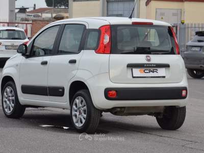 Fiat Panda Turbo Natural Power Easy Bianco usata Pisa
