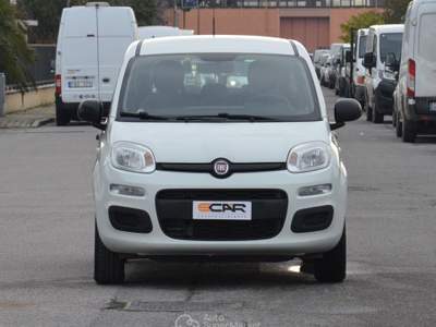 Fiat Panda Turbo Natural Power Easy Bianco usata Pisa