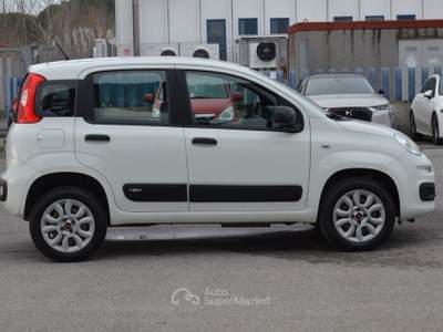 Fiat Panda Turbo Natural Power Easy Bianco usata Pisa