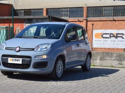 Fiat Panda Easy Grigio usata Pisa