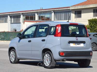 Fiat Panda Easy Grigio usata Pisa