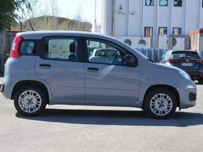 Fiat Panda Easy Grigio usata Pisa