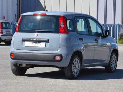 Fiat Panda Easy Grigio usata Pisa