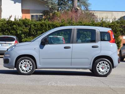Fiat Panda Easy Grigio usata Pisa