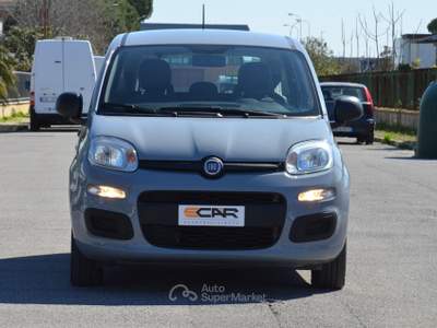 Fiat Panda Easy Grigio usata Pisa