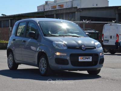 Fiat Panda Easy Grigio usata Pisa