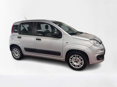 Fiat Panda 1.2 Easy Grigio usata Cagliari