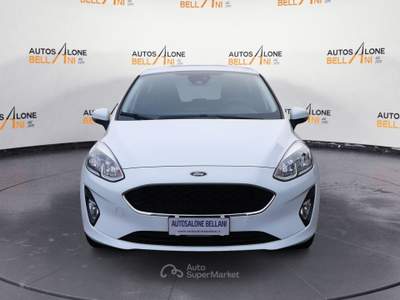 Ford Fiesta Fiesta 1.5 EcoBlue 5 porte Business Bianco usata Feltre