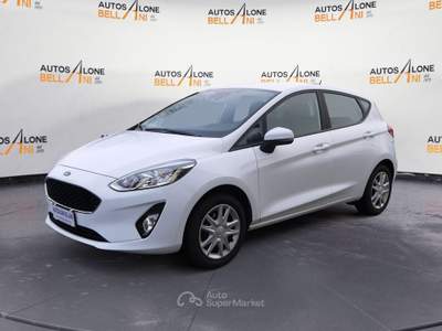 Ford Fiesta Fiesta 1.5 EcoBlue 5 porte Business Bianco usata Feltre