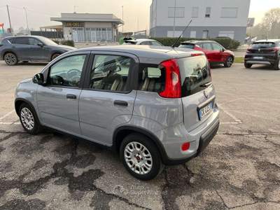 Fiat Panda Panda III 2021 1.0 firefly hybrid City Life s Grigio usata Calerno di Sant'Ilario d'Enza