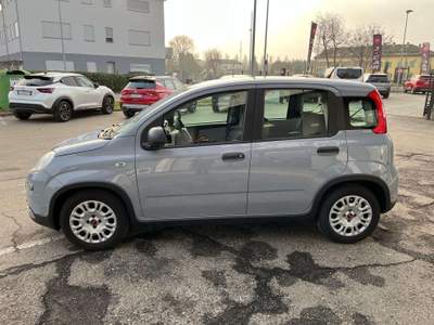 Fiat Panda Panda III 2021 1.0 firefly hybrid City Life s Grigio usata Calerno di Sant'Ilario d'Enza