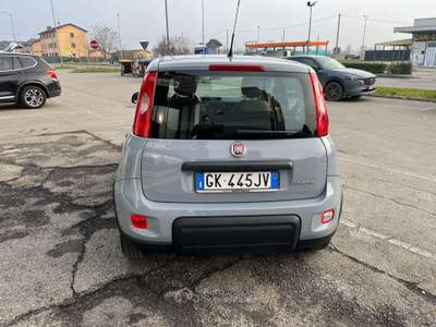 Fiat Panda Panda III 2021 1.0 firefly hybrid City Life s Grigio usata Calerno di Sant'Ilario d'Enza