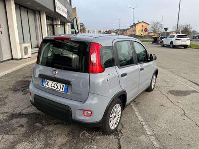 Fiat Panda Panda III 2021 1.0 firefly hybrid City Life s Grigio usata Calerno di Sant'Ilario d'Enza