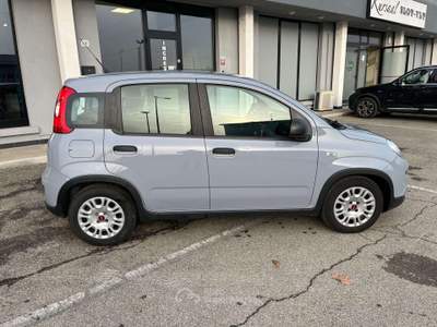 Fiat Panda Panda III 2021 1.0 firefly hybrid City Life s Grigio usata Calerno di Sant'Ilario d'Enza