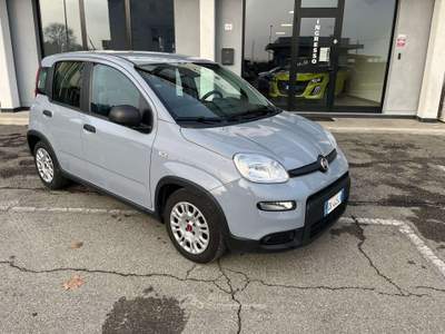 Fiat Panda Panda III 2021 1.0 firefly hybrid City Life s Grigio usata Calerno di Sant'Ilario d'Enza