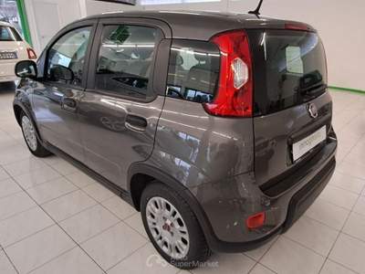 Fiat Panda 1.0 FireFly S&S Hybrid Grigio usata Spilimbergo