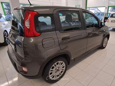 Fiat Panda 1.0 FireFly S&S Hybrid Grigio usata Spilimbergo