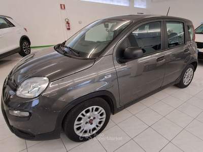 Fiat Panda 1.0 FireFly S&S Hybrid Grigio usata Spilimbergo
