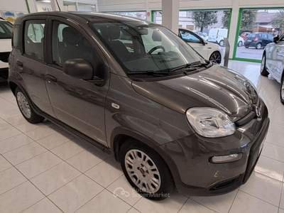 Fiat Panda 1.0 FireFly S&S Hybrid Grigio usata Spilimbergo