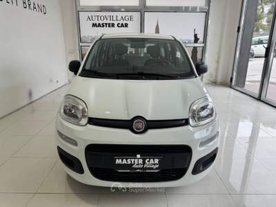 Fiat Panda 1.2 Easy Bianco usata Ripalimosani