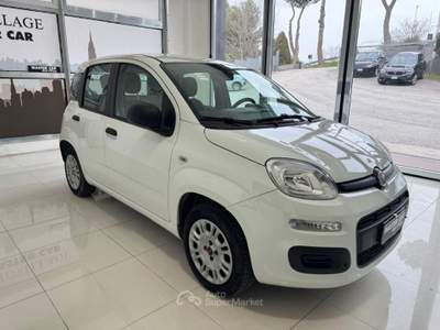 Fiat Panda 1.2 Easy Bianco usata Ripalimosani
